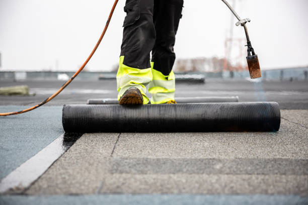 Best Asphalt Shingle Roofing  in Tariffville, CT